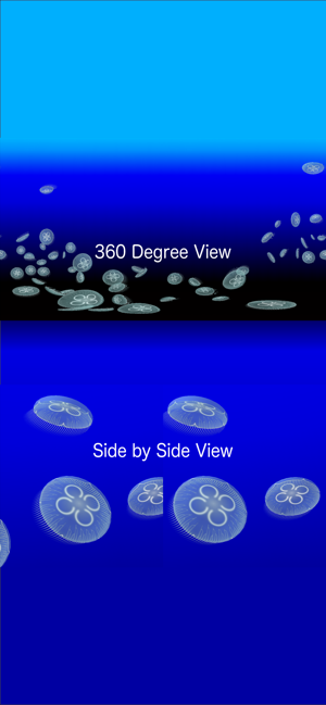 Jellyfish AR/VR(圖4)-速報App