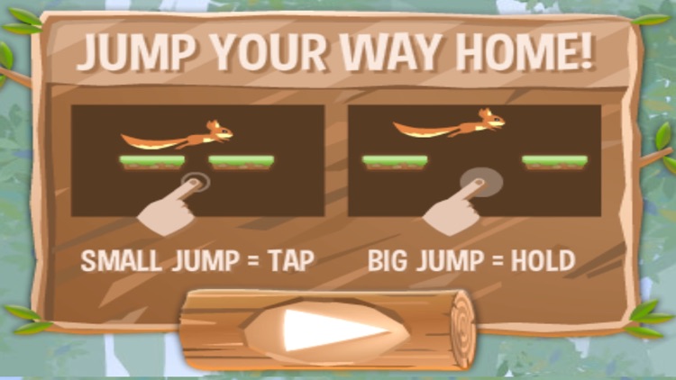 Orange forest squirrel