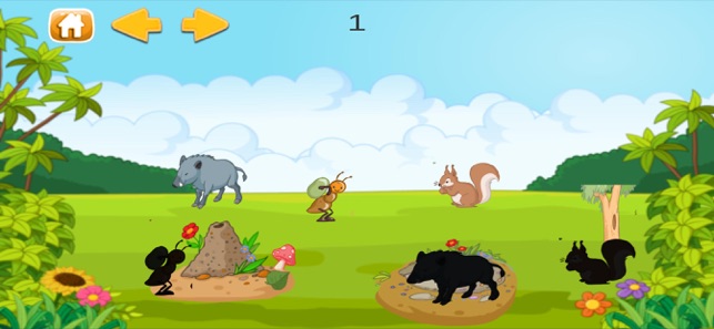 Animal World - enjoy learning(圖4)-速報App