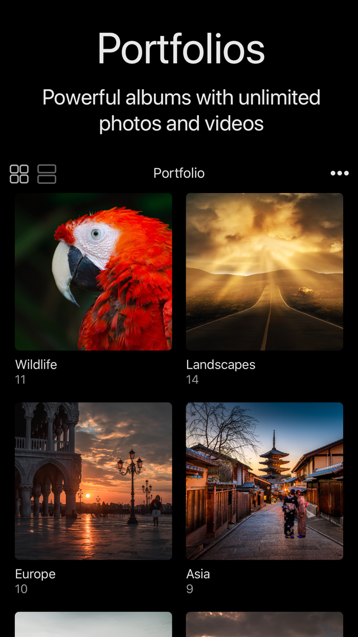 Portfolio Website Builder