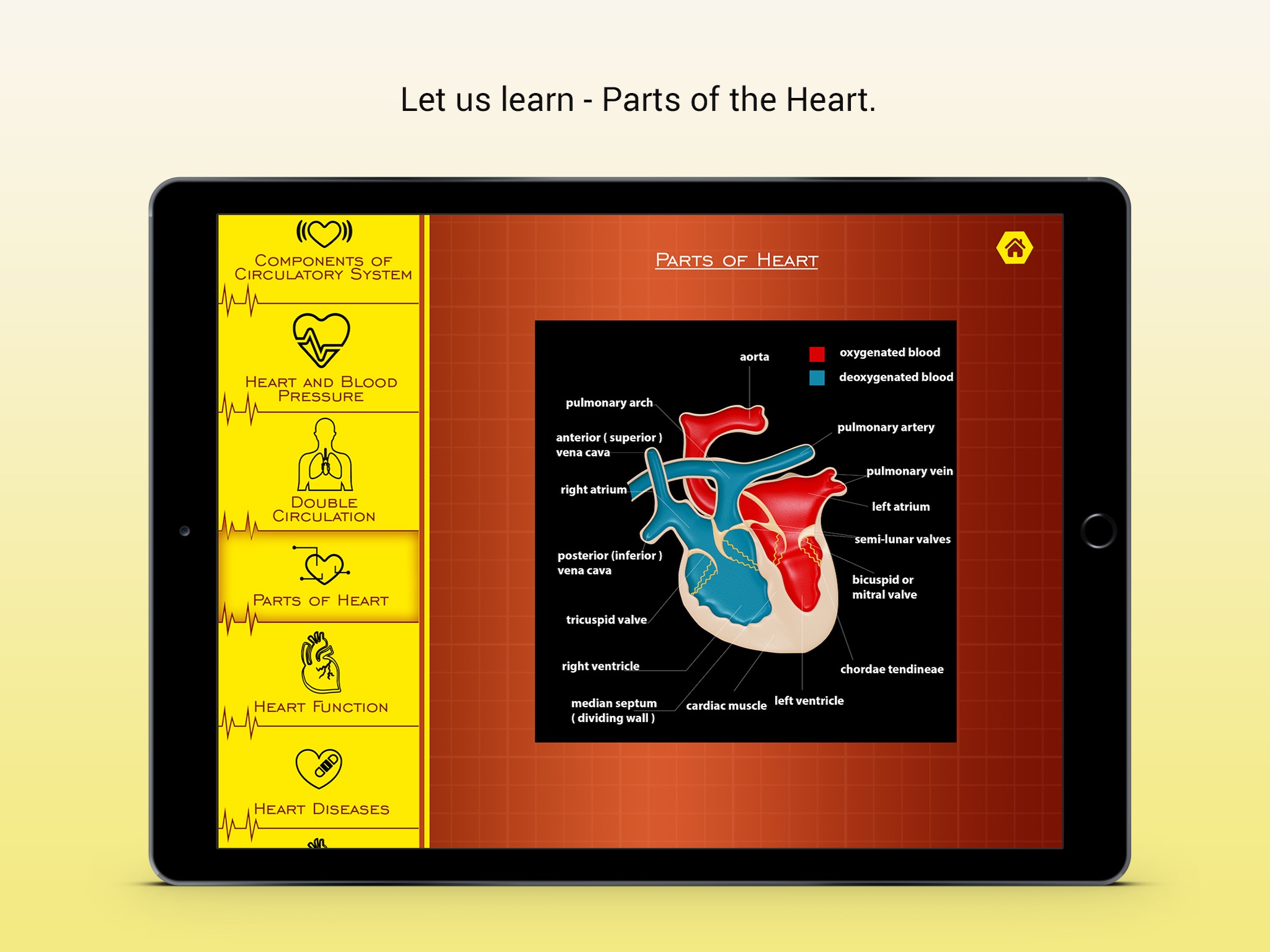 Mammalian Heart screenshot 3