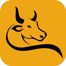 工资条儿-股票配资宝