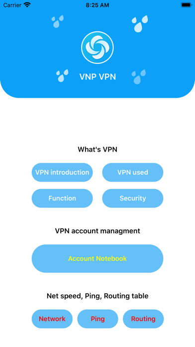 VNP VPN screenshot 2