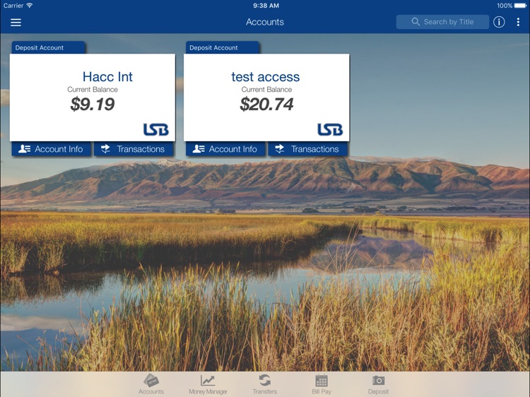 Lewiston State Bank for iPad