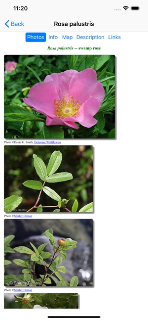 Tennessee Wildflowers(圖3)-速報App