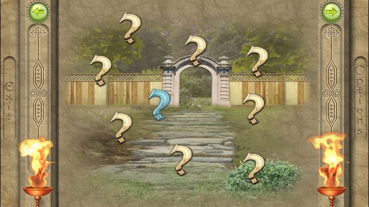 FlipPix Plus screenshot-3