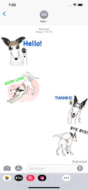 Cute Whippet Dog Sticker