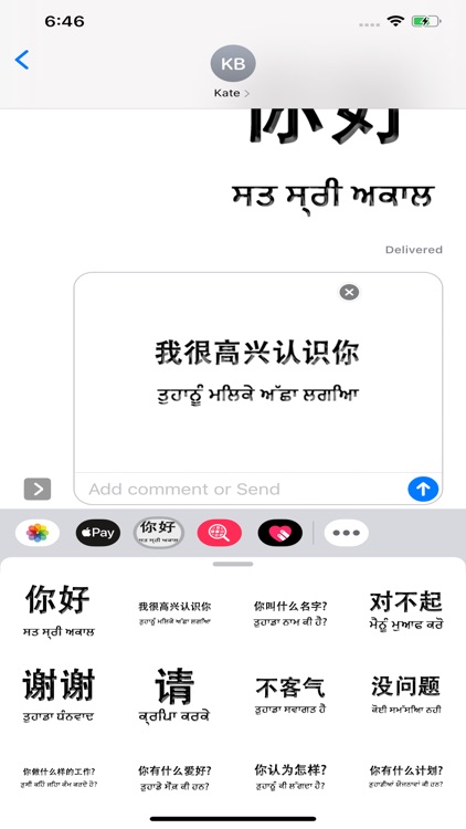 Punjabi Chinese