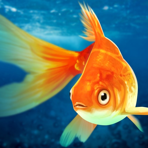 Pet Fish Tank Goldfish Home By Good Mood Zone