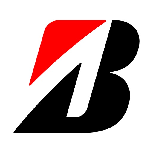 Bridgestone Consumidor