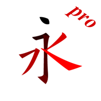 Chinese character stroke Pro