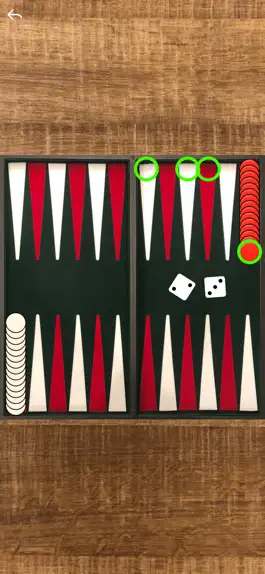 Game screenshot Narde Backgammon apk