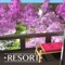 脱出ゲーム RESORT5 - 悠久の桜庭...