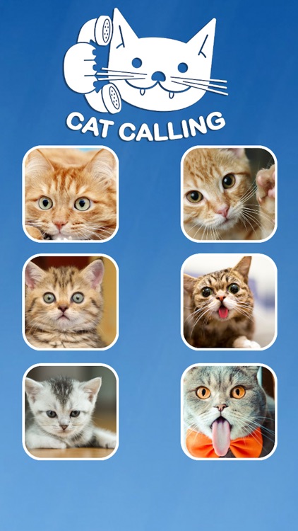 Cat Fake Call Prank For Kids