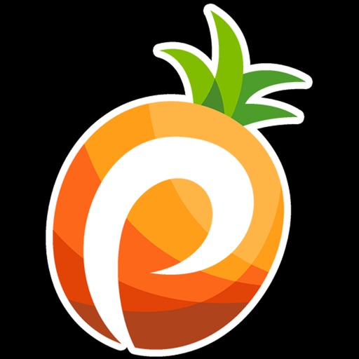 Pineapple Payments iOS App