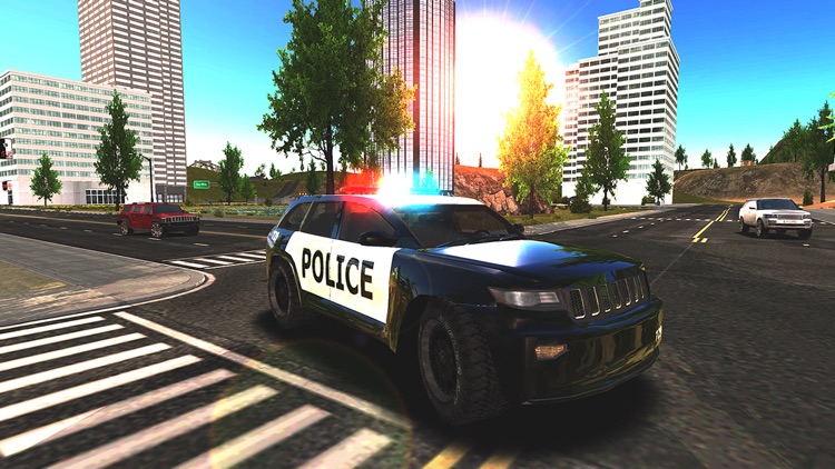 Crime City Police Car Driver screenshot-5