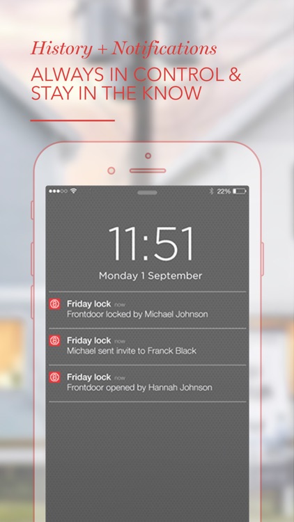 Friday Home Lock screenshot-4