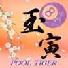 POOL TIGER-kazuhiko sugimoto