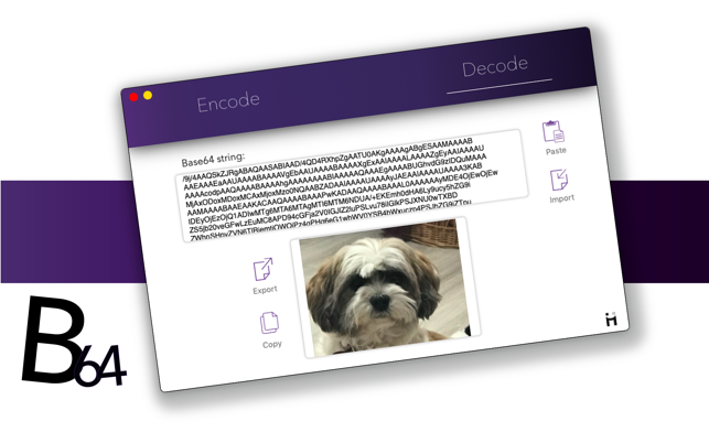 B64 - Base64 Image Converter(圖2)-速報App