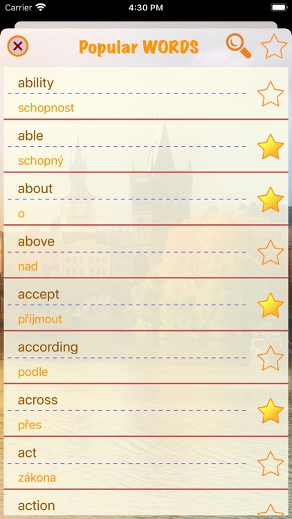 Knowledge of Czech language screenshot-3