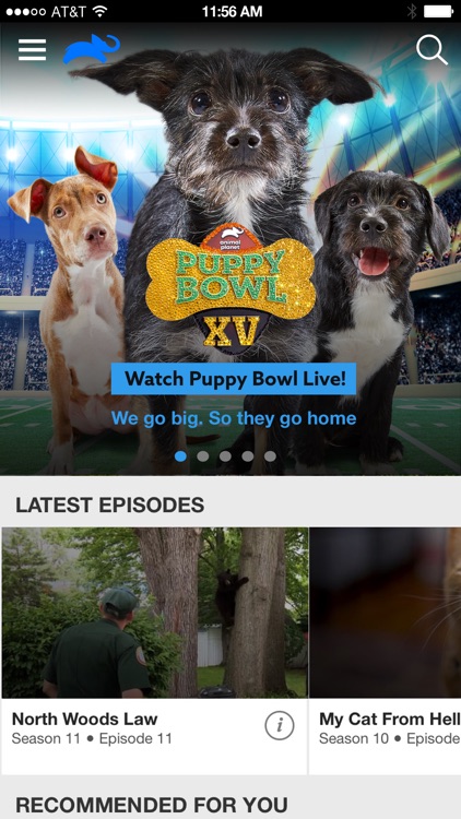 Animal Planet GO