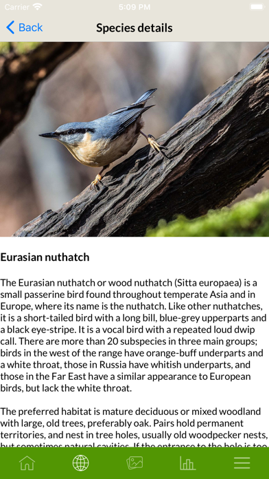 Etnobird Smart Bird Feeder screenshot 3