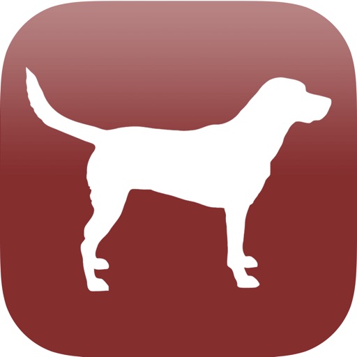 Dog Breed Identification Icon