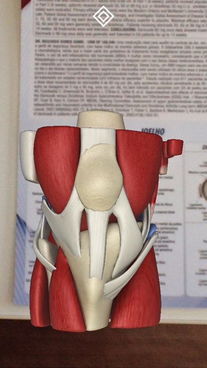 ANATOMIA – SUPERA screenshot-3