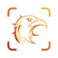 Picture Bird - Распознать птиц на пк