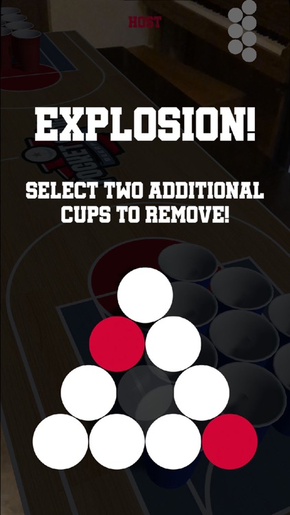 Pocket Pong: Beer Pong screenshot-5