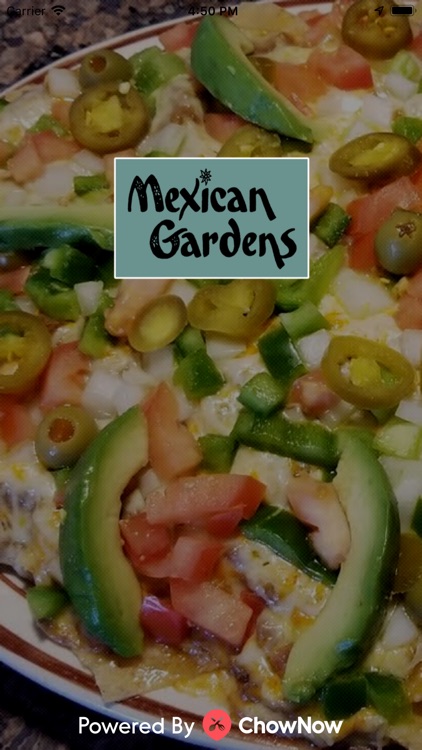Featured image of post Mexican Gardens Photos / Francoisjosephberger has uploaded 1020 photos to flickr.