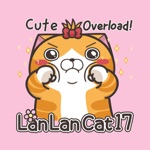 Lan Lan Cat 17 EN