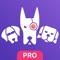 Most famous application for VKontakte on iOS