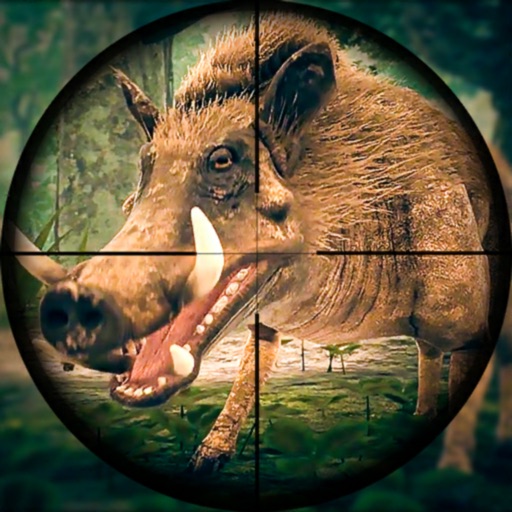 Wild Hunt Pig Sniper Shooting