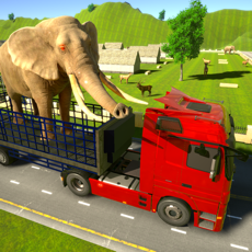 Activities of Animal Delivery Truck Driver