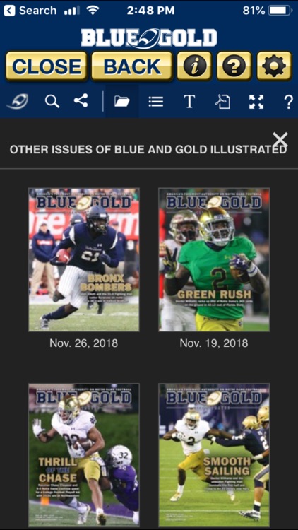 Blue and Gold Illustrated