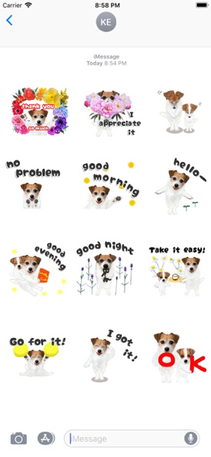 Jack Russell Animation 2(圖2)-速報App