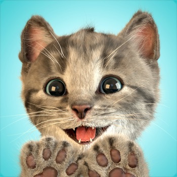 Kleine Kitten -My Favorite Cat