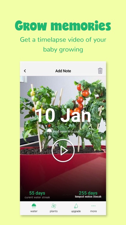 Happy Plant - No Water Thirst