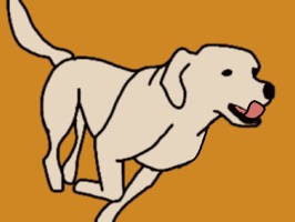 Labrador Retriever : Stickers