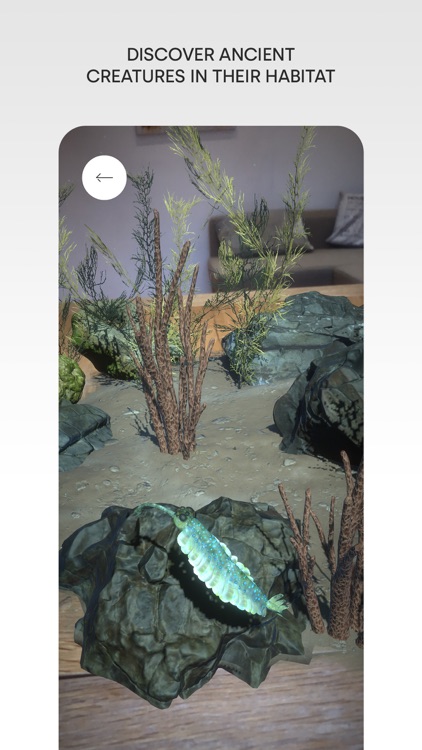 Museum Alive screenshot-3