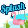 Splash - cerco piscine