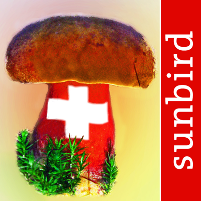 Pilzführer Schweiz – Pilze Pro