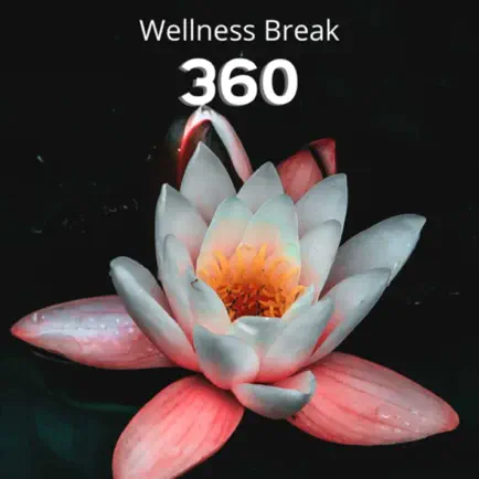 Wellness Break 360 Cheats