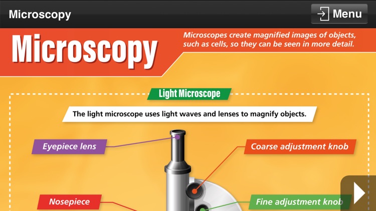 Biology GCSE