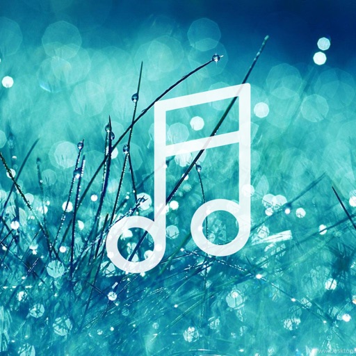 Rain Sound - Relaxing Sound