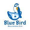 Blue Bird BOULDERING GYM blue s clues 