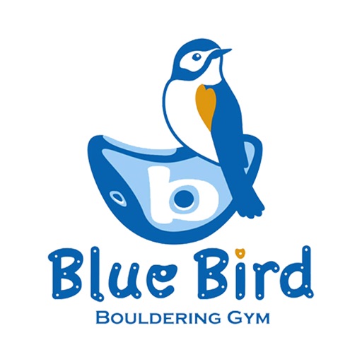 Blue Bird BOULDERING GYM