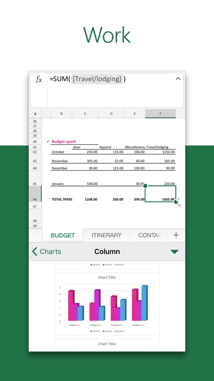 Microsoft Excel