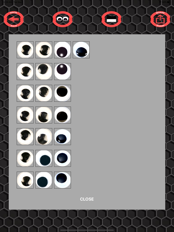 Googly eyes editor sticker screenshot 3